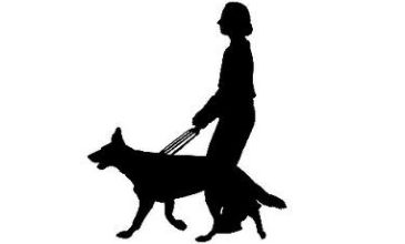 Illustration of a person with a guide dog.