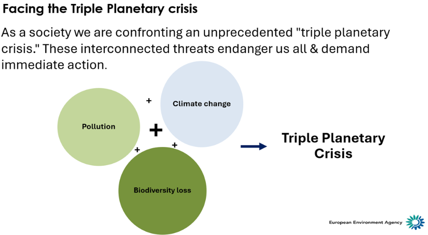 The Triple Planetary Crisis