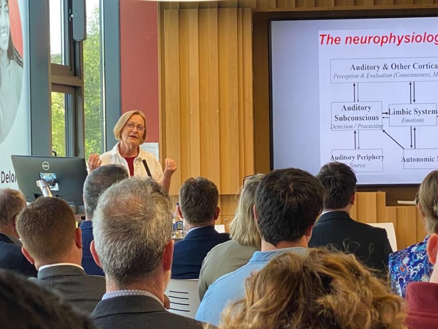 Prof. Kerstin Persson Waye (Gothenburg University, Sweden) delivering the keynote address - Photo credit: Priscila Wunderlich, University of Galway