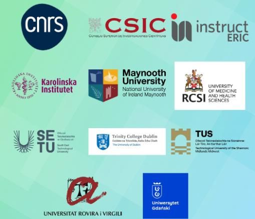 institutional logos of gender equality champions