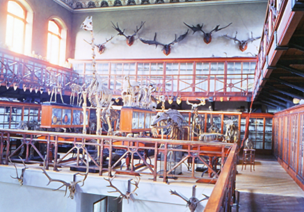 Museum in 1960