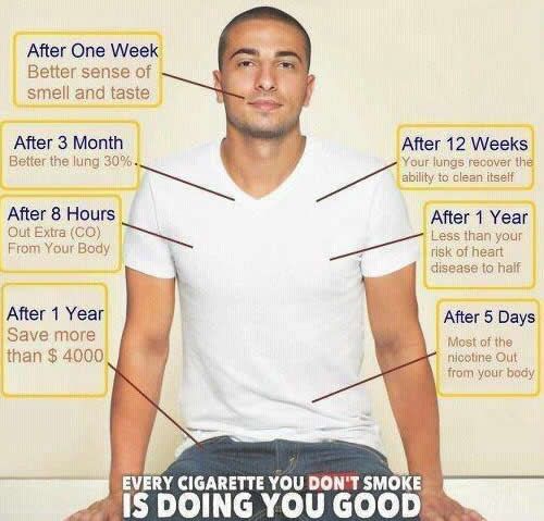 A diagram showing the benefits over 1 year of giving up smoking