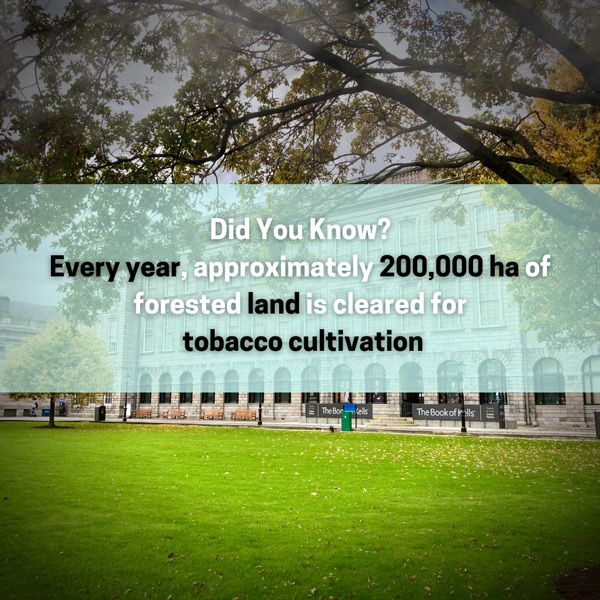 Long room library with text