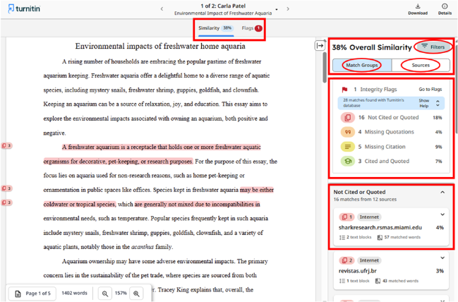 1 - Turnitin Enhanced Similarity Report panel scrnshot