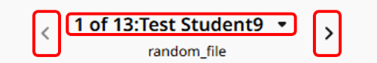 5 - Turnitin New Standard Assignment navigation option scrnshot