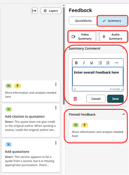 6 - Turnitin New Standard Assignment Feedback panel scrnshot