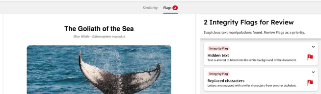 7 - Turnitin Enhanced Similarity Report Flags panel scrnshot
