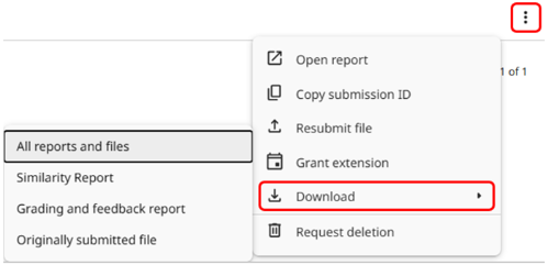 7 - Turnitin New Standard Assignment individual download panel scrnshot