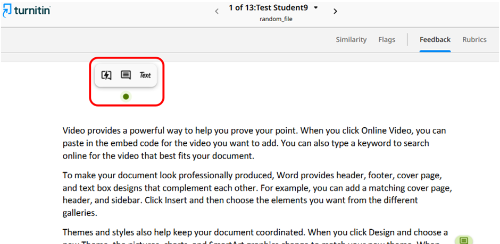 9 - Turnitin New Standard Assignment Annotations options panel scrnshot