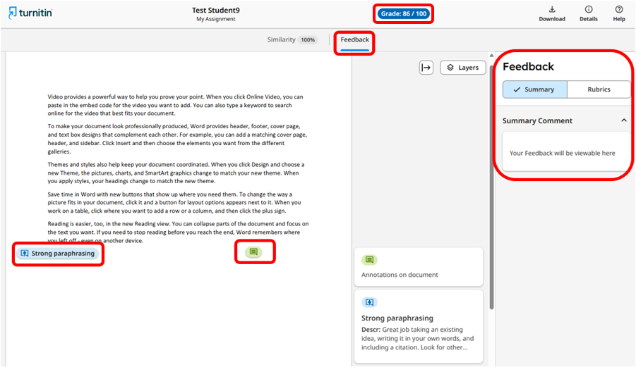11 - New Standard Assignment Grade and Feedback panel scrnshot
