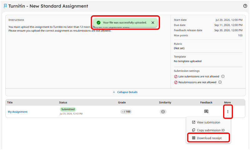 8 - New Standard Assignment submitted assignment panel scrnshot