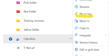 screenshot of pinning a file