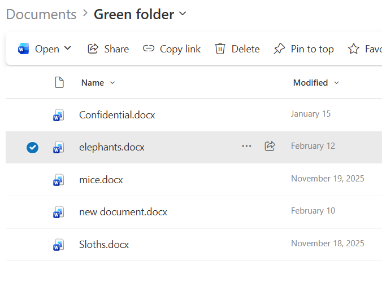 Screen shot of a list of documents on SharePoint