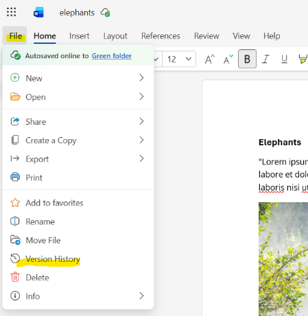 Screenshot of FIle - Version History on Word online in SharePoint