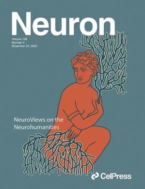 Neurohumanities