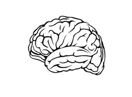 brain in simple lines