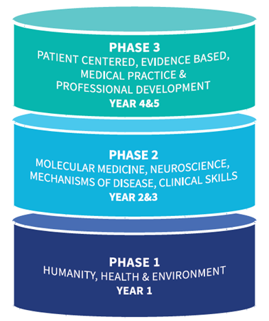 The three phases of the Curriculum image