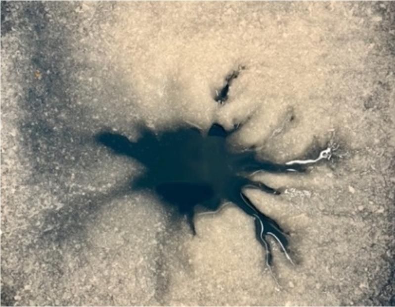 a small dendritic “lab star” developed by flowing liquid water through Europa granular ice simulant in a cold glove box at NASA JPL. Credit Dr Lauren Mc Keown