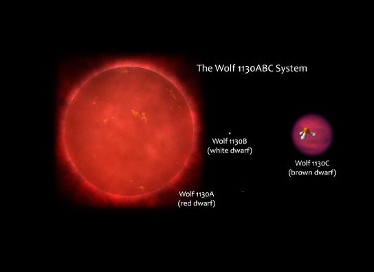 Schematic of the Wolf 1130ABC triple system, composed of the red dwarf star Wolf 1130A, its close and compact white dwarf companion Wolf 1130B, and the distant brown dwarf tertiary Wolf 1130C. The three components of this system are scaled to their relative sizes. Image credit: Adam Burgasser.