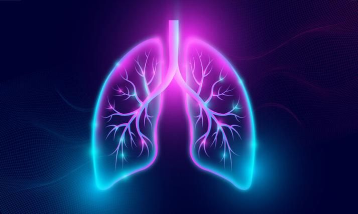 Picture shows a graphic of a pair of lungs - pink and blue in colour - set against a black background.The image shows the outline of the lungs and the smaller detail of the inside of each lung, including the bronchioles and alveoli.