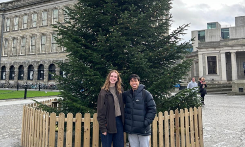 Two students and a Christmas tree