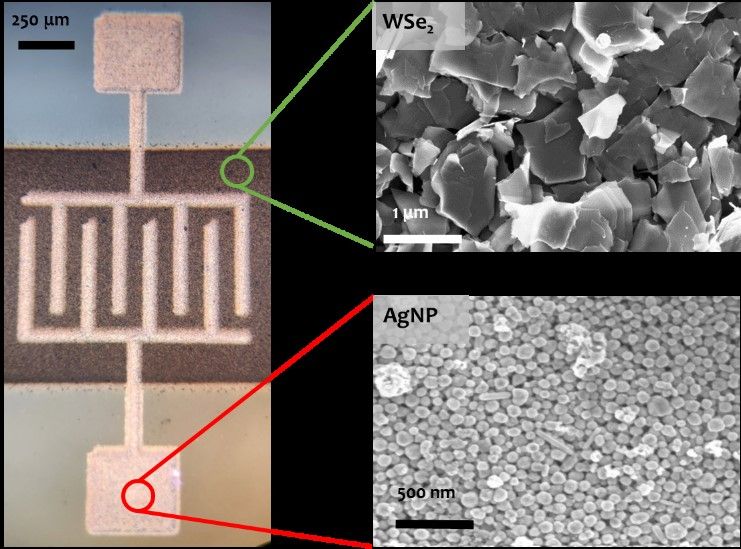printed nanosheets