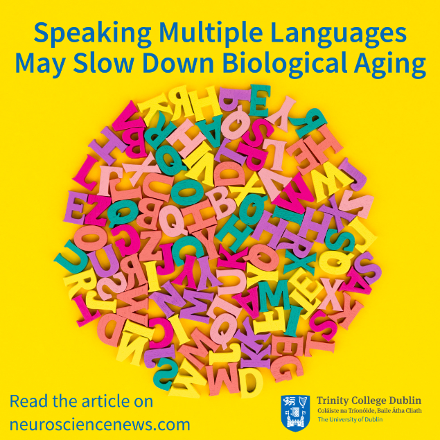 Dr. Agustín Ibáñez