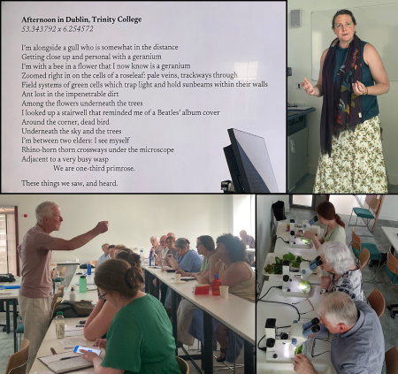 Day4_Summer School 2026