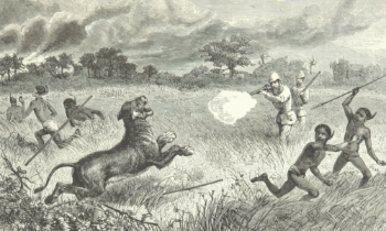 Drawing depicting colonialists shooting at indigenous people