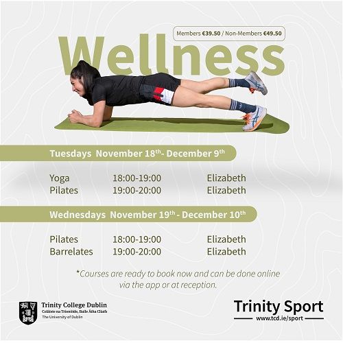 Illustrative poster for Wellness courses in November & December 2025 - full details in text