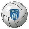 Volleyball club logo